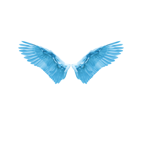 Angel wings png transparent