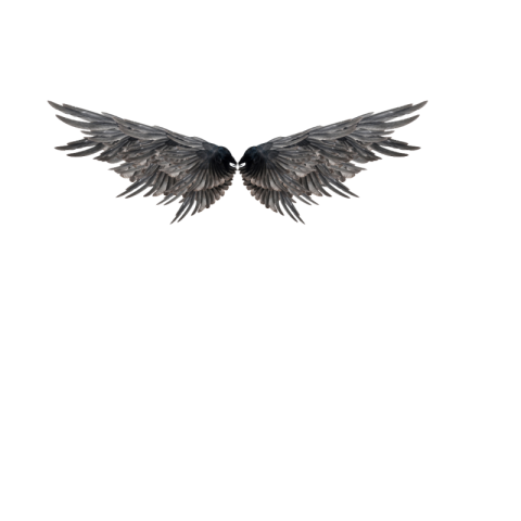 Angel wings png download