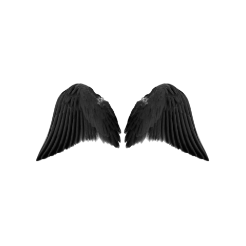 Angel wings png free download