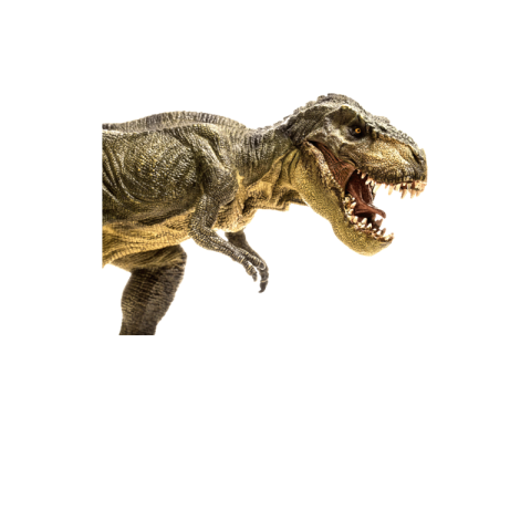 Dinosaur png black and white