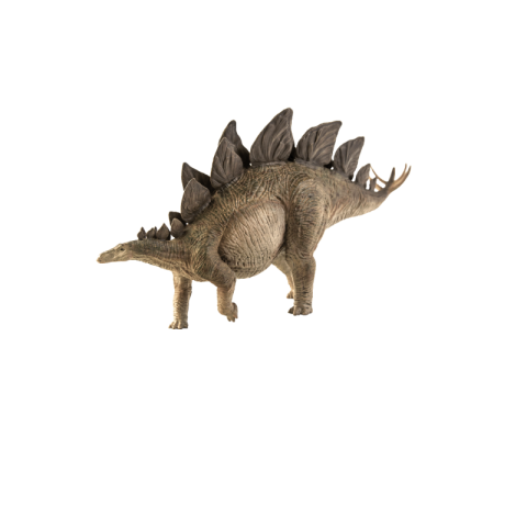 Dinosaur images real free