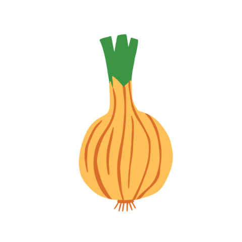 Onion vector png images free download