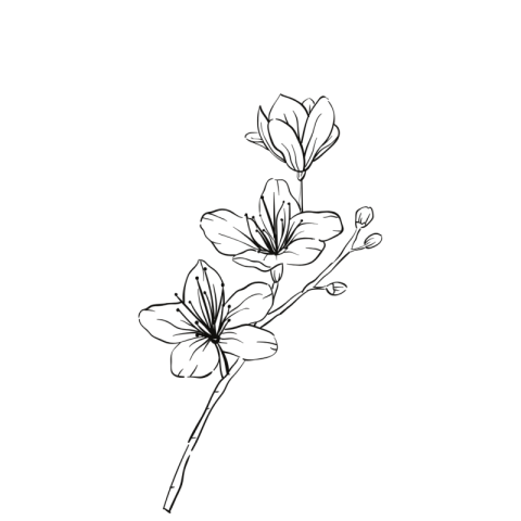 Flower Png image