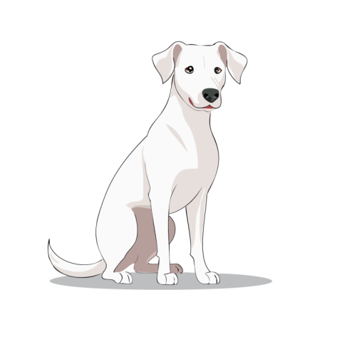 Dog vector  png  free