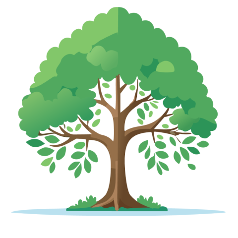 Tree png vector