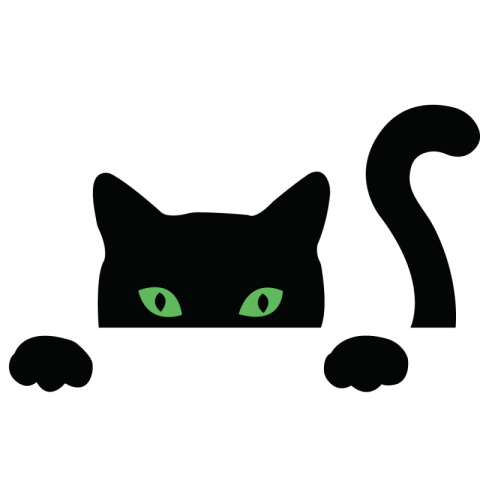 Cat png transparent