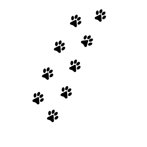 Cat Paw Png Images
