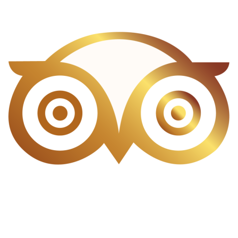 Owl logo png free