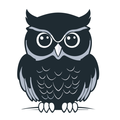 Owl Png IMage hd