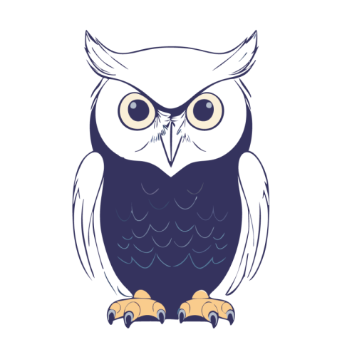 Owl Png IMage Free Download