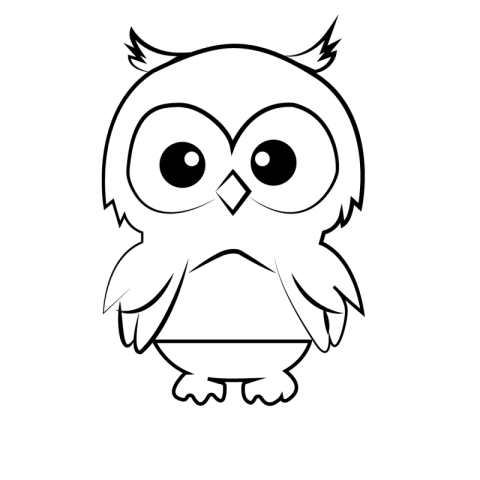 OWl Outline Png IMage