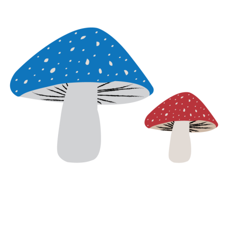 Mashroom Png Images