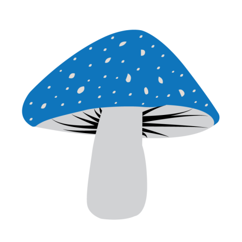 Mushroom Png Transparent