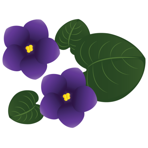 Flower Png Images