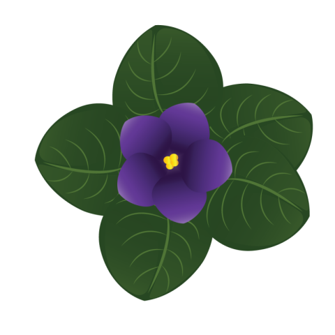 Flower Images Png hd