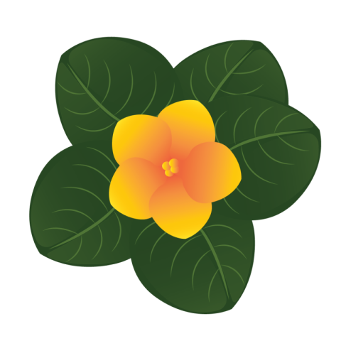 Flower Images Png Download