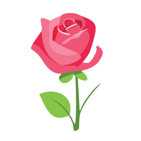 Rose Vector Png