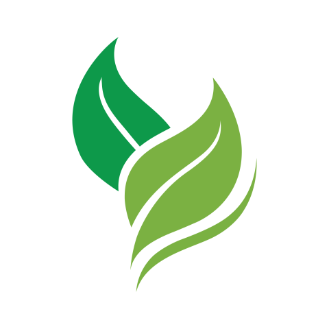 Green leaf logo png