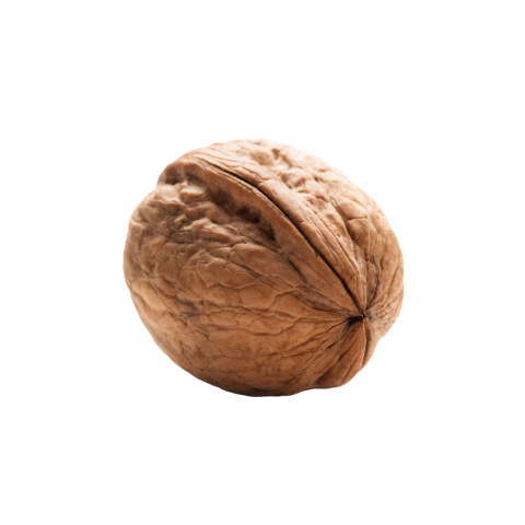 Walnut png image free download
