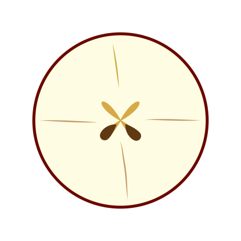 Apple round slice illustration png