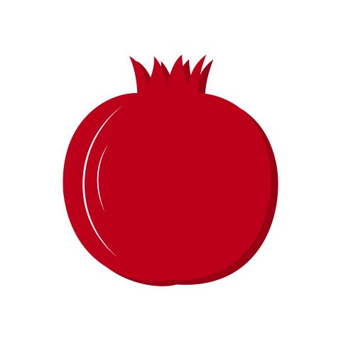 Pomegranate illustration png