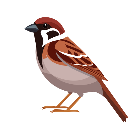 Sparrow illustration png free