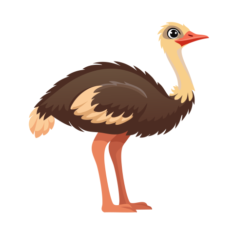 Ostrich illustration png free download