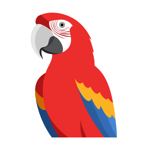 Parrot png illustration free download
