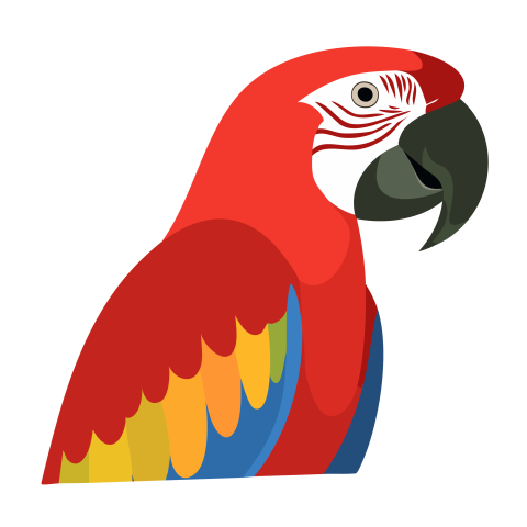 Parrot illustration png transparent