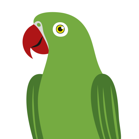 Green parrot illustration png transparent