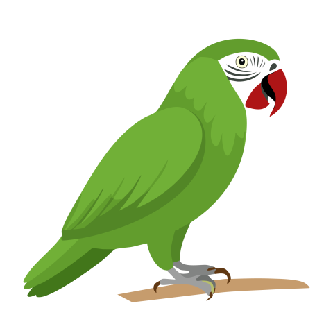 Green parrot illustration png free