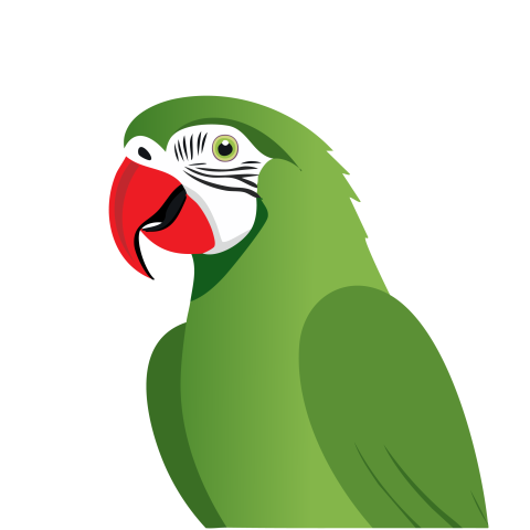 Green parrot illustration png free download