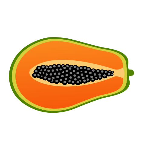 Papaya illustration png image