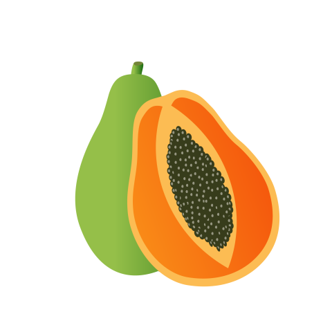Papaya illustration png image free download