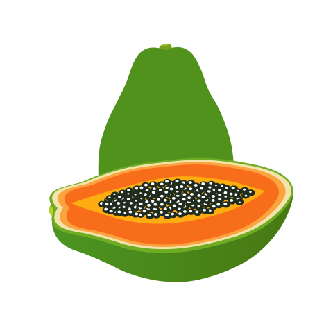 Papaya illustration png download