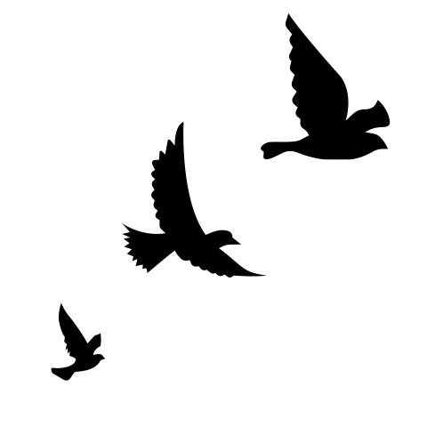 Flying birds png images free download