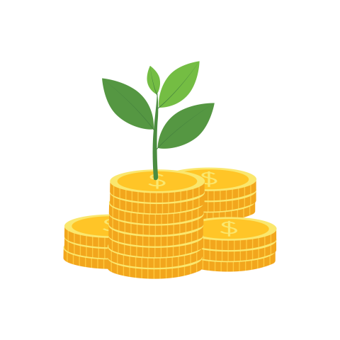 Money Growth Plant on Gold Coins PNG