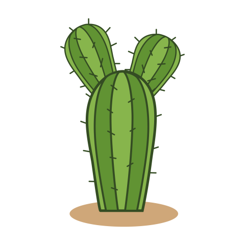 Three Arm Green Desert Cactus PNG