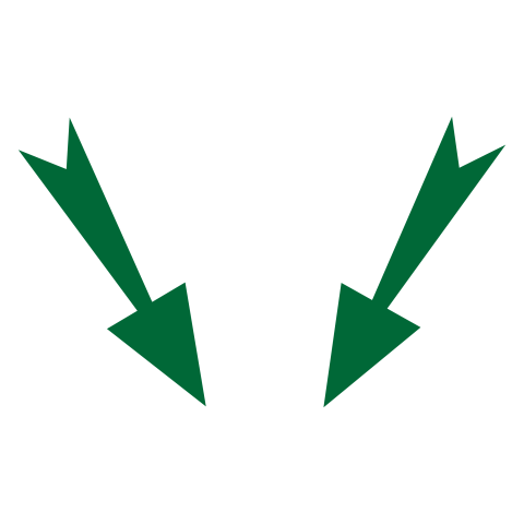 Green Double Down Arrow Icon PNG