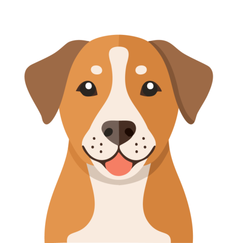 Dog png image