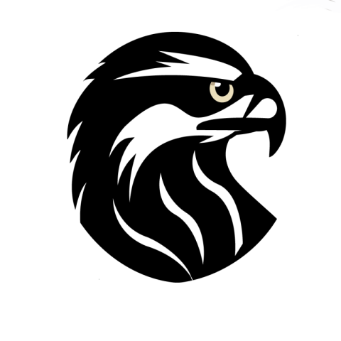 Eagle png vector