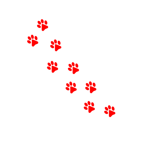Cat paw png