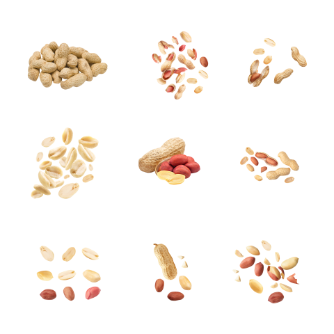Peanut background images png
