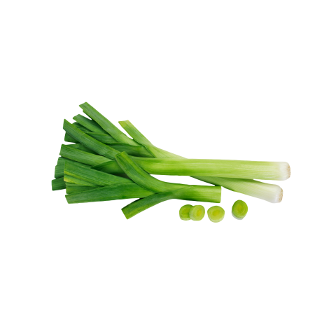 Leek png transparent background