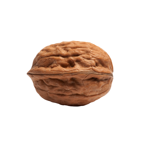 Walnut png images free download