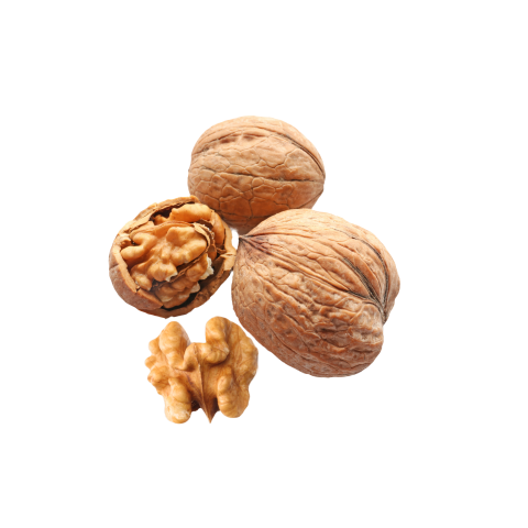 Broken walnut png transparent background