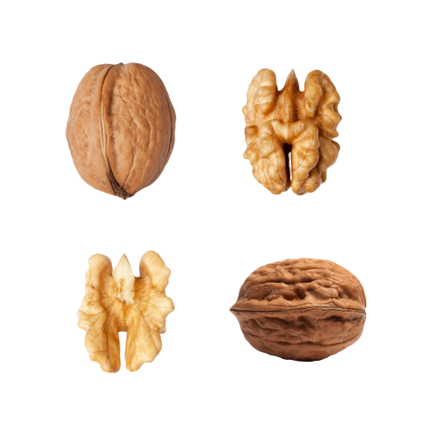 Walnut png image transparent free download