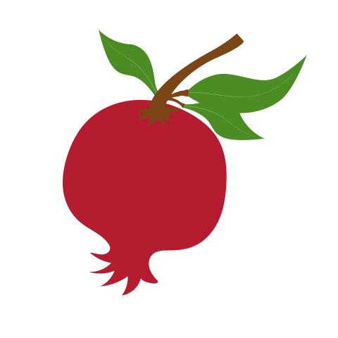 Pomegranate illustration png transparent
