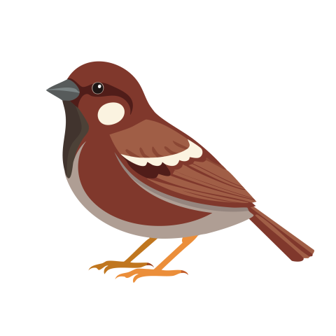 Sparrow vector png download