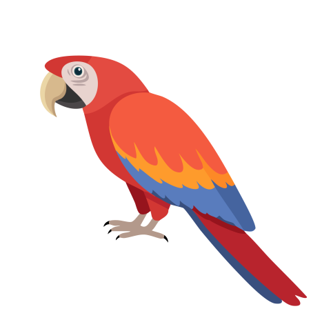 Parrot illustration png free download